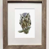 Eastern Screech Owl- 5x7 inch Print of Oil Painting