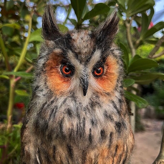 Needle felted  owl. Long-eared Owl. Made to order