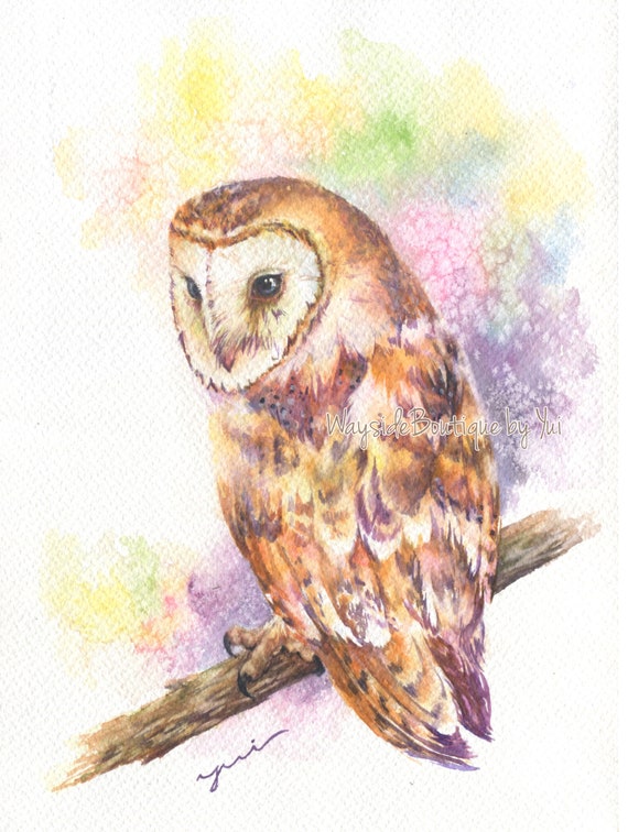 PRINT –Barn owl Watercolor painting 7.5 x 11”