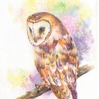 PRINT –Barn owl Watercolor painting 7.5 x 11”