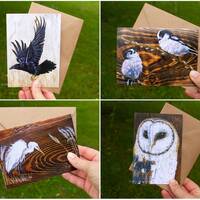 Birds greetings card 4 pack. A6 art cards.