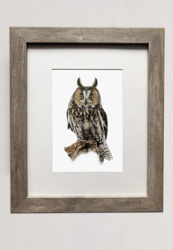 Long-Eared Owl- 5x7 inch Print of Oil Painting