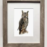 Great Horned Owl- 5x7 inch Print of Oil Painting