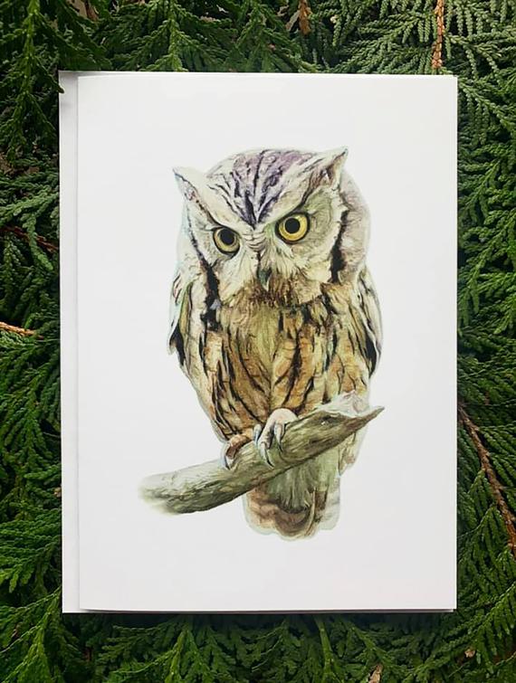 Eastern Screech Owl- 5x7 inch Greeting Card