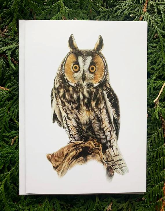 Long-Eared Owl- 5x7 inch Greeting Card