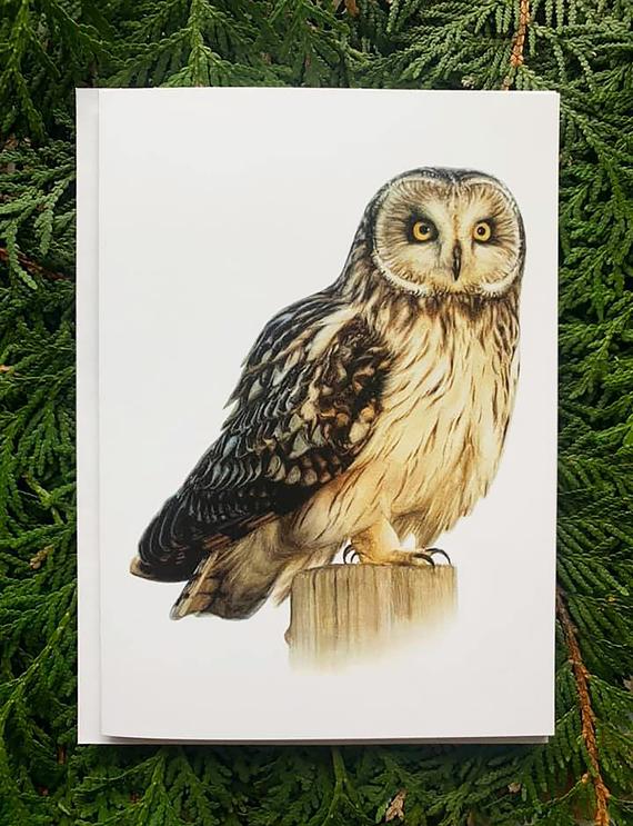 Short-Eared Owl- 5x7 inch Greeting Card