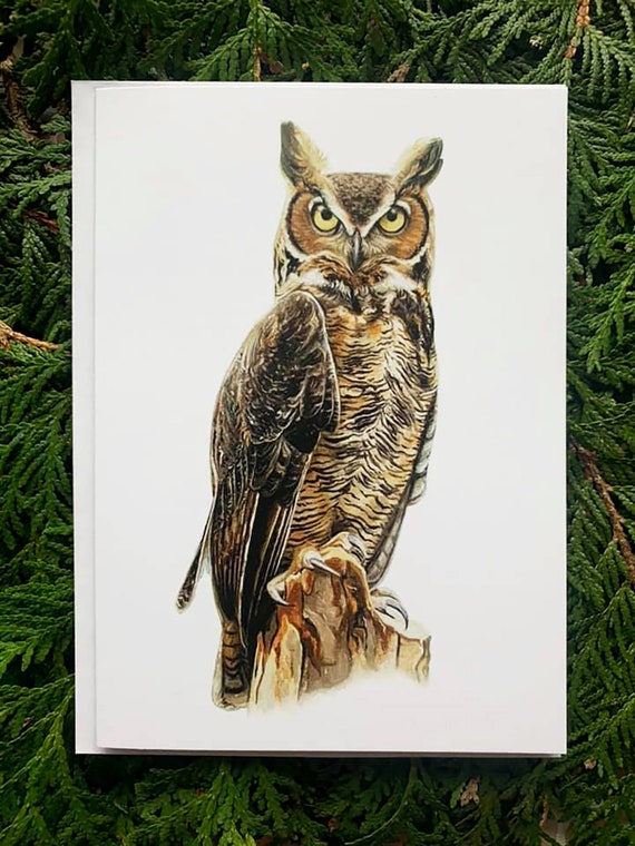 Great Horned Owl- 5x7 inch Greeting Card