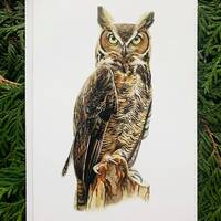 Great Horned Owl- 5x7 inch Greeting Card