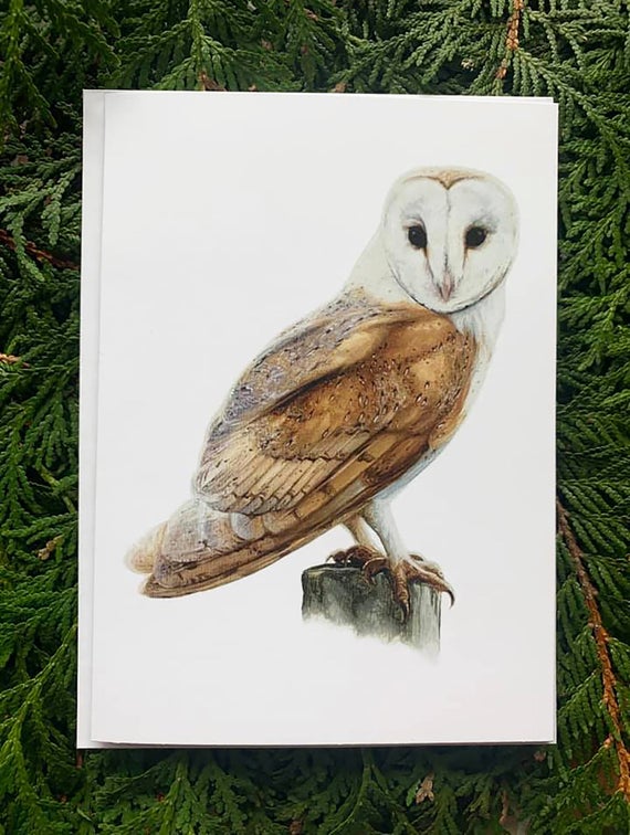 Barn Owl- 5x7 inch Greeting Card