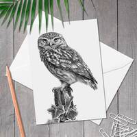 Little owl drawing A5 greeting card