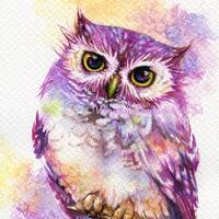 PRINT - Owl - Watercolor painting 7.5 x 11”