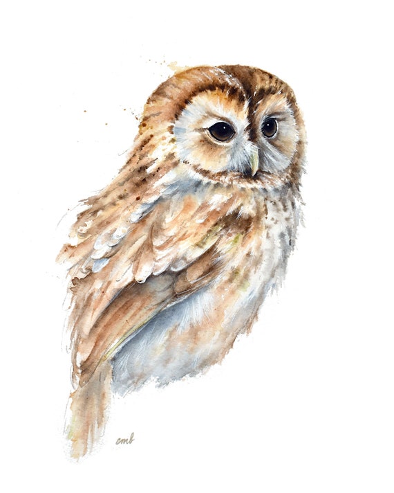 Tawny Owl watercolor painting Print