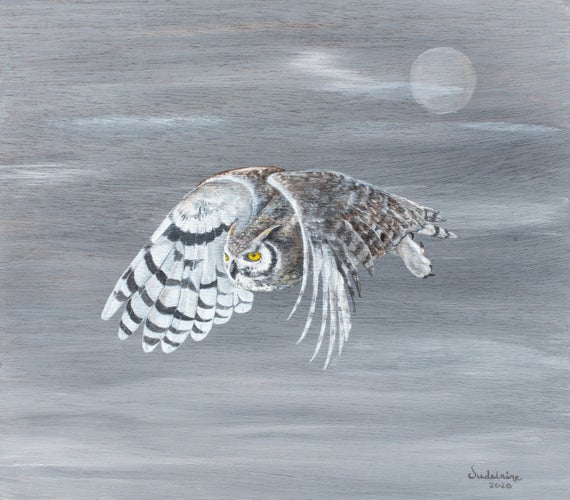 Gray Ghost (Horned Owl)