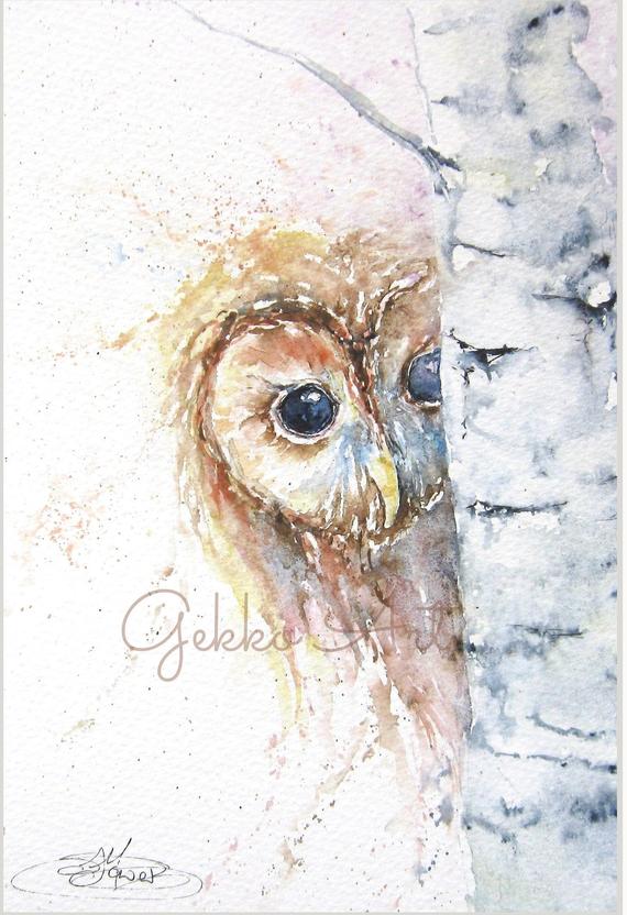 Tawny Owl Watercolour Fine Art Giclee Print