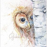 Peek-a-Woo, Tawny Owl, Watercolour Fine Art Giclee Print, Owl Watercolour, From an Original ...