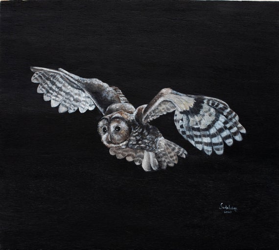 Barred Owl in flight oil painting: Night Vision