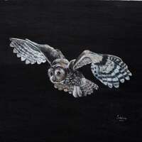 Barred Owl in flight oil painting: Night Vision