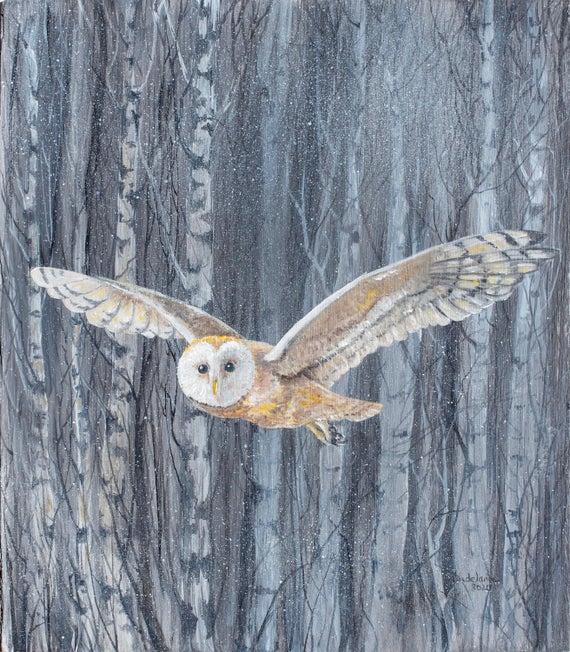 Barn Owl Among Birches