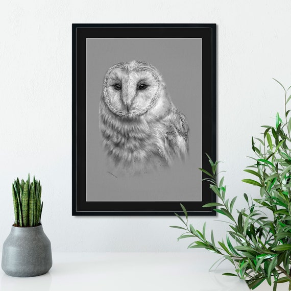 Original Barn Owl Charcoal Drawing