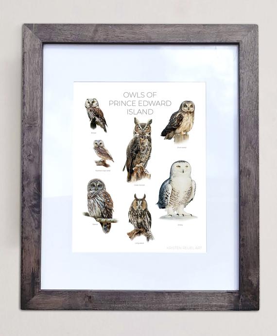 Owls of Prince Edward Island- Print of 7 Owl Oil Paintings