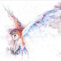 Barn Owl in flight Limited Edition Print, Colourful Owl Giclee Art Print, Signed Watercolour...