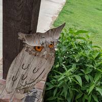 Metal Owl garden Statue, Figurine.