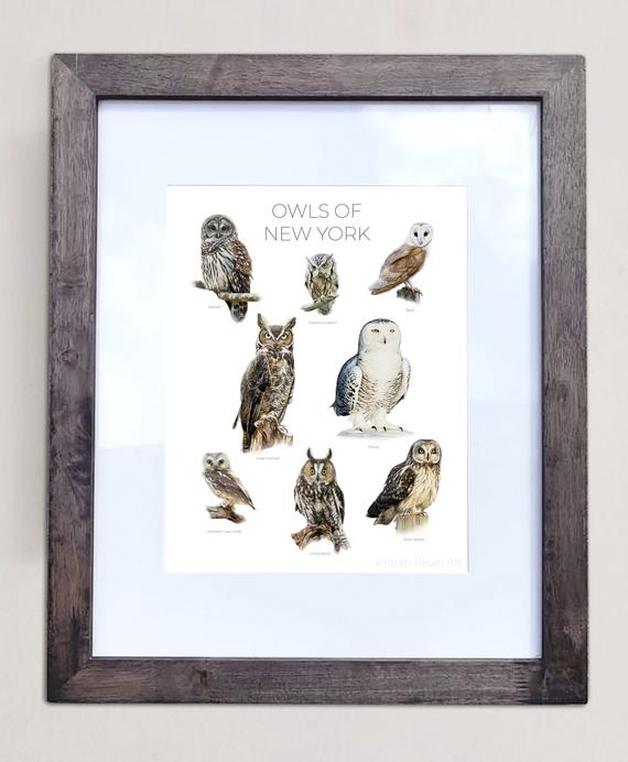Owls of New York- Print of 8 Owl Oil Paintings