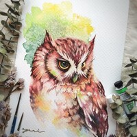 Owl - ORIGINAL watercolor painting 7.5x11 inches