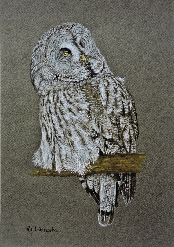 Great Grey Owl, fine art print with an owl, Bartkauz.
