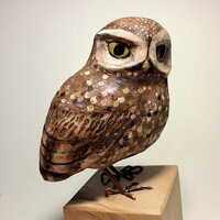 Hand carved wooden owl sculpture
