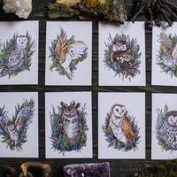 Owl Set of 8 Art Prints A6, Woodland Forest Habitants Postcard...