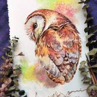 Owl - ORIGINAL watercolor painting 7.5x11 inches, Hand painted by Yui Chatkamol, owl waterco...