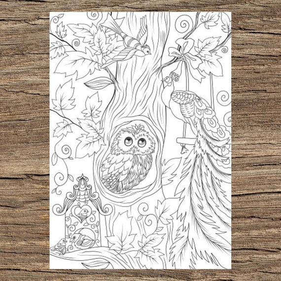 Owl and Birds in a Tree - Printable Adult Coloring Page