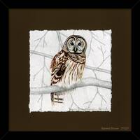 Owls, Barred Owl Framed