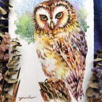 Owl - ORIGINAL watercolor painting 7.5x11 inches