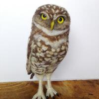 Needle felted Burrowing Owl