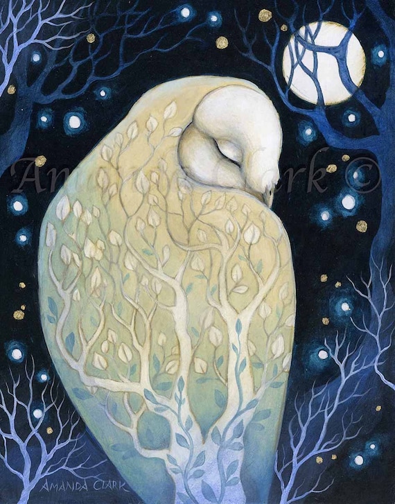 Limited edition giclee print titled "Asleep Under the Stars" by Amanda Clark - owl art print, celestial artwork, woodland wall art