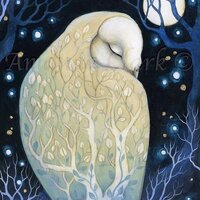 Limited edition giclee print titled "Asleep Under the Stars" by Amanda Clark - owl...
