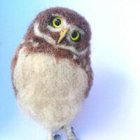Needle felted baby Burrowing Owl sculpture