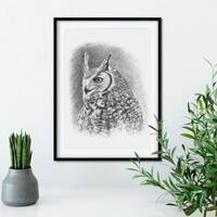 Original Great Horned Owl Graphite Pencil Drawing