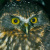 Morepork