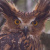 Tawny Fish Owl