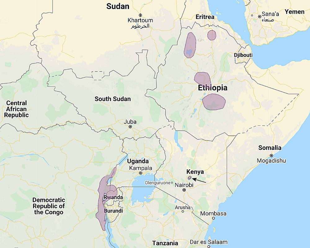 Range of Abyssinian Owl (Asio abyssinicus)