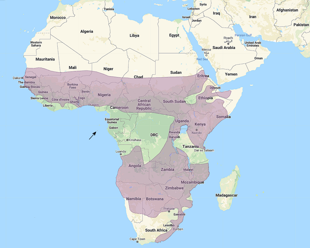 Range of African Scops Owl (Otus senegalensis)