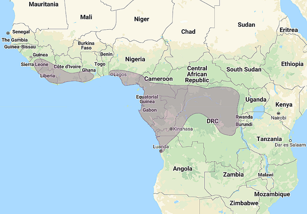 Range of Akun Eagle Owl (Bubo leucostictus)