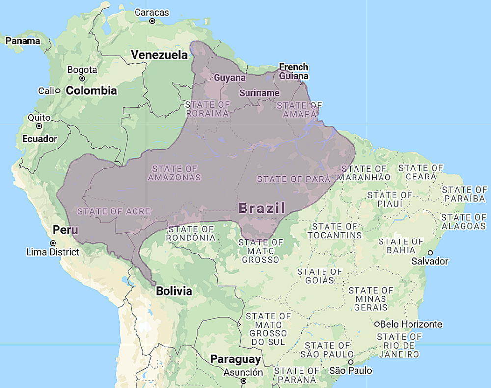 Range of Amazonian Pygmy Owl (Glaucidium hardyi)