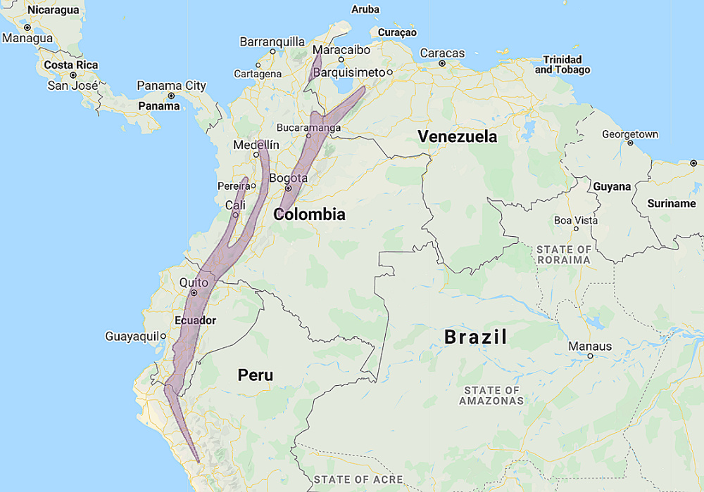 Range of Andean Pygmy Owl (Glaucidium jardinii)