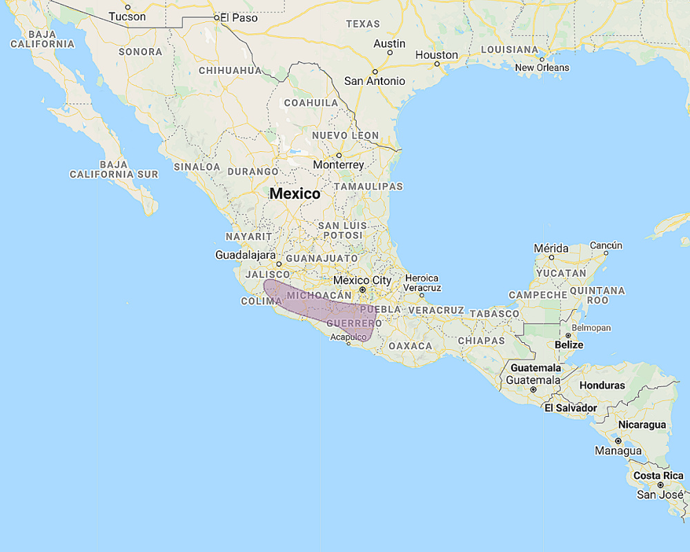 Range of Balsas Screech Owl (Megascops seductus)