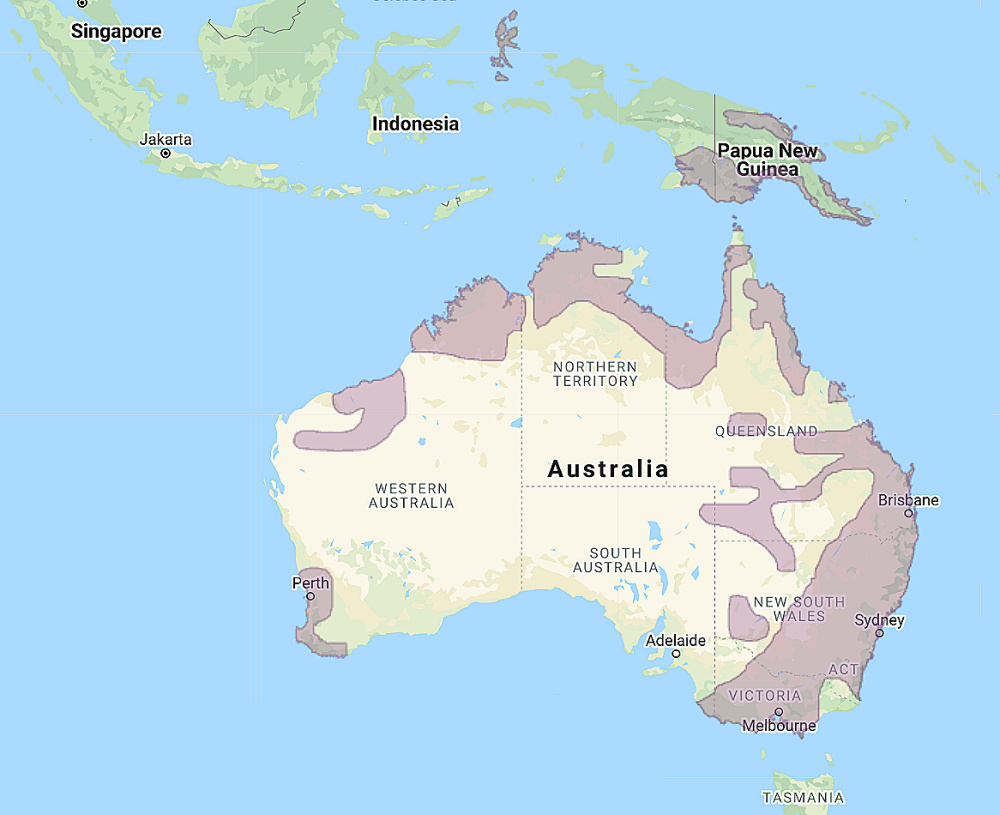 Range of Barking Owl (Ninox connivens)