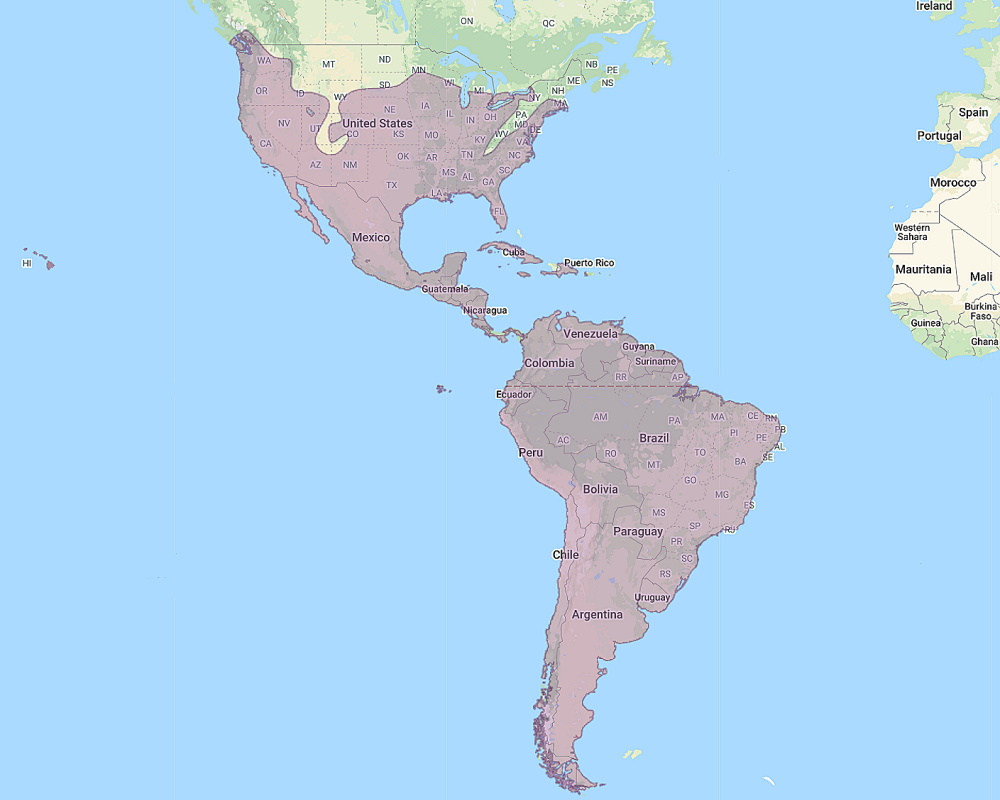 Range of American Barn Owl (Tyto furcata)